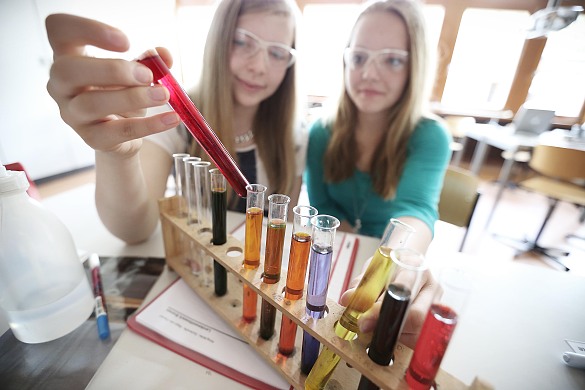 MINT Schule